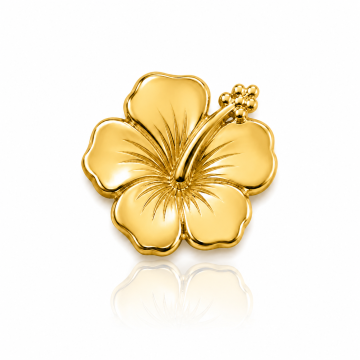 Bijou Dentaire Or 18ct –...