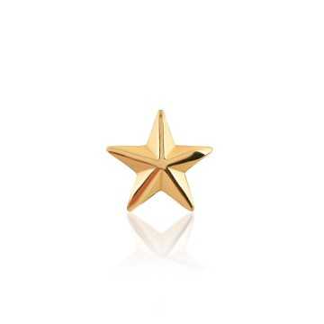Gold Tooth Gem 22ct – Star...