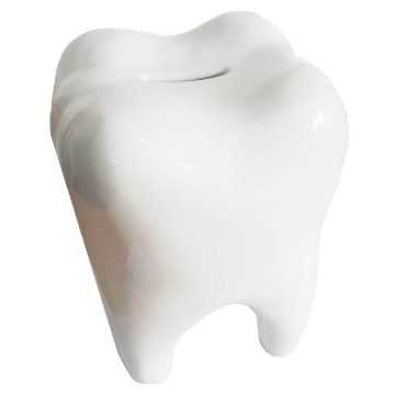 Large Tooth Money Box –...